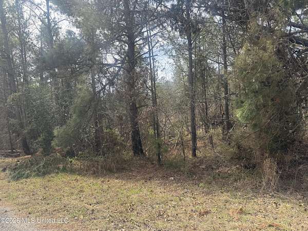 9.1 Acres of Land for Sale in Waterford, Mississippi