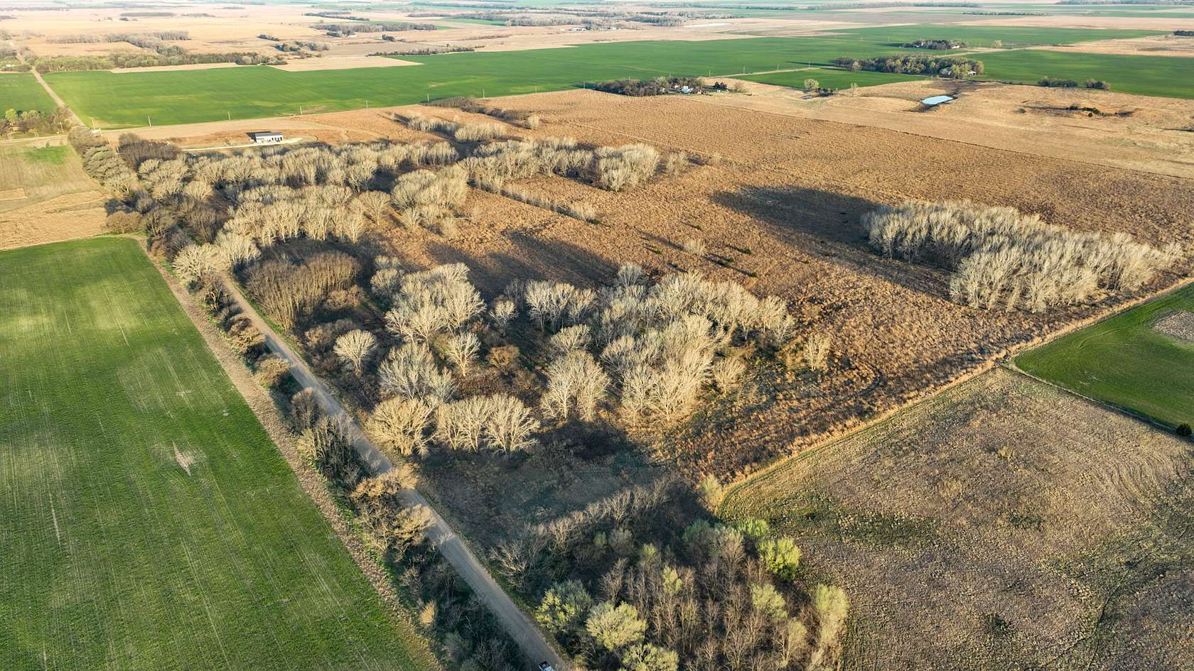 59.5 Acres of Land for Sale in Plevna, Kansas