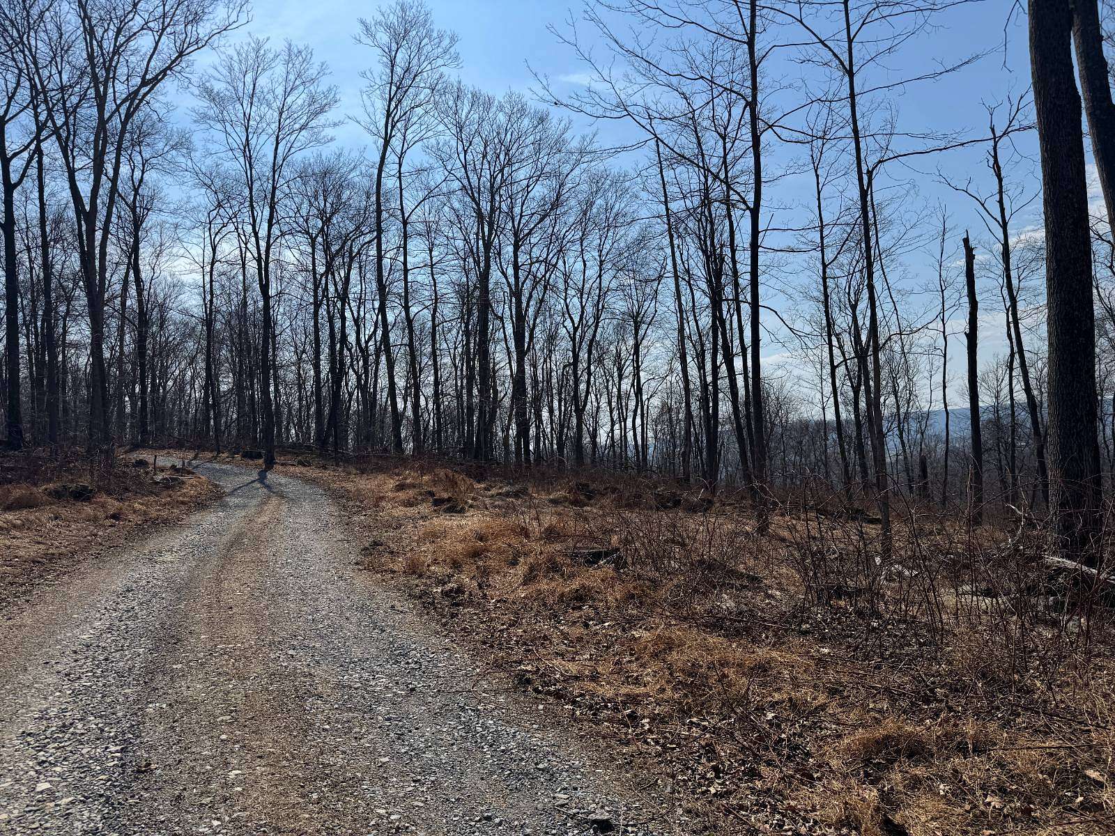 21.8 Acres of Land for Sale in Myersville, Maryland