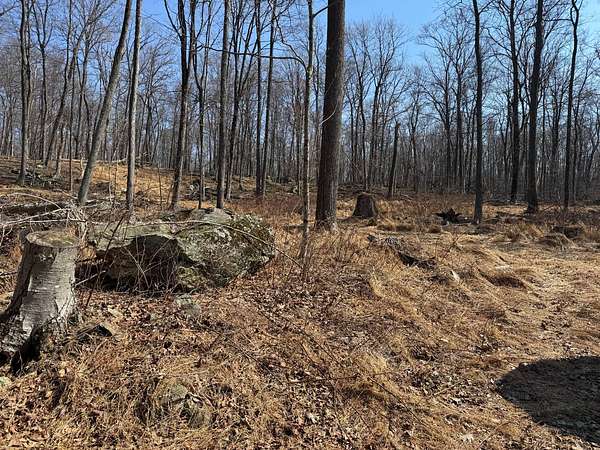 10 Acres of Residential Land for Sale in Myersville, Maryland