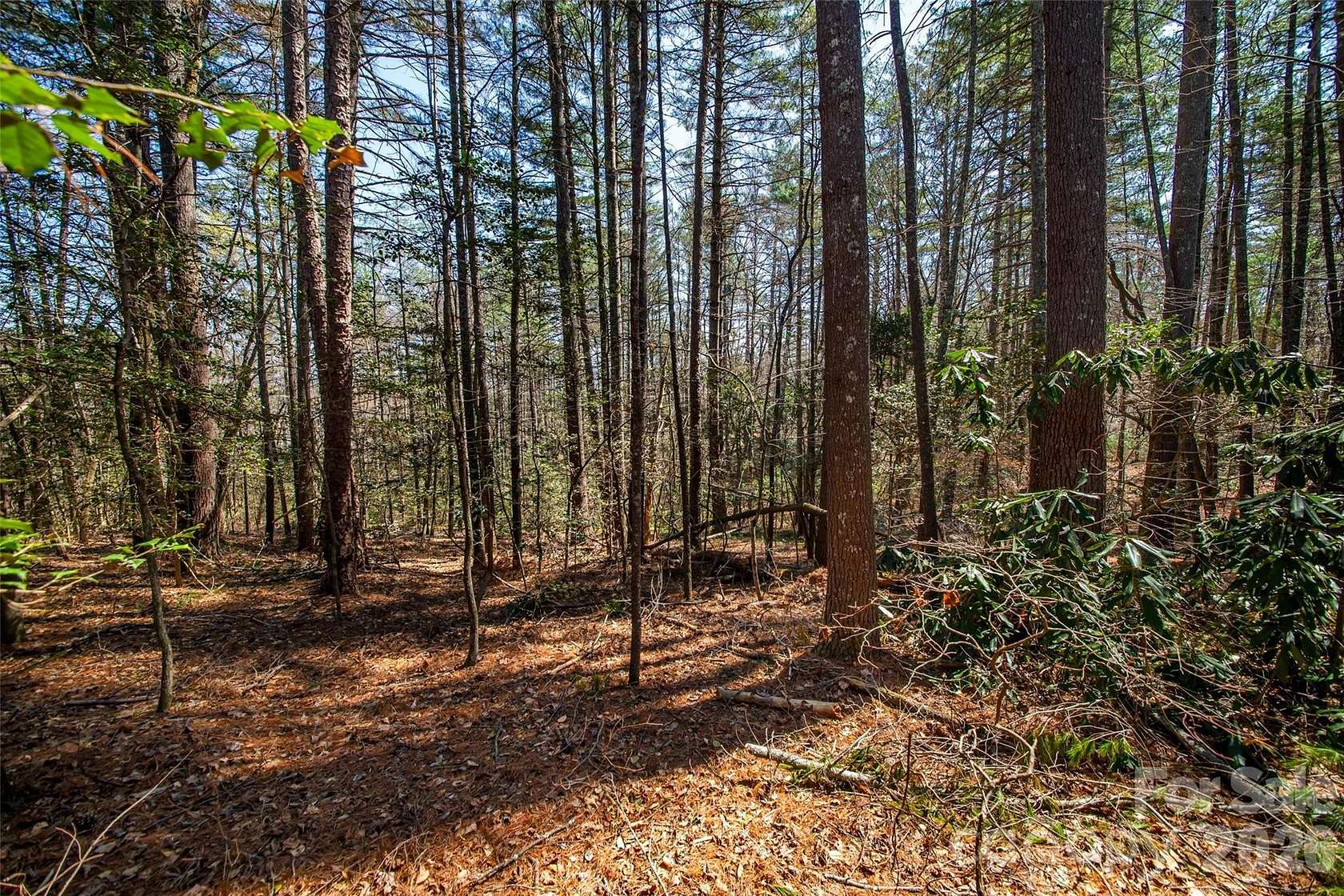 0.66 Acres of Residential Land for Sale in Brevard, North Carolina