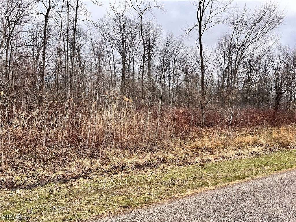 1.11 Acres of Residential Land for Sale in Ashtabula, Ohio