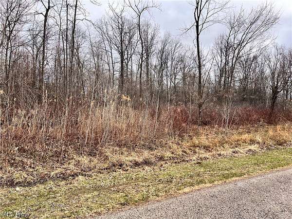 1.11 Acres of Residential Land for Sale in Ashtabula, Ohio