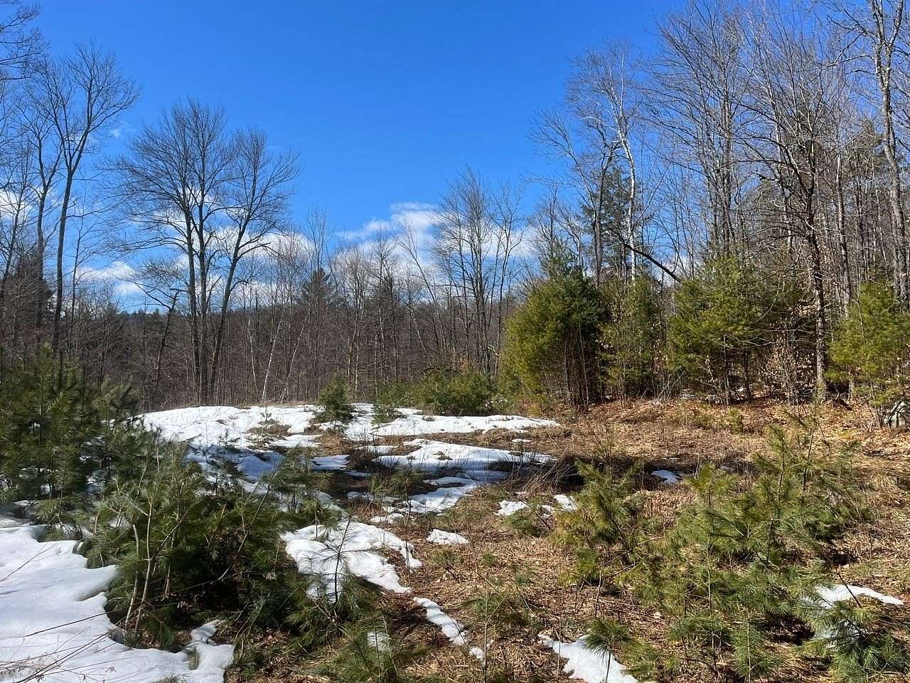 30 Acres of Land for Sale in Jamaica, Vermont
