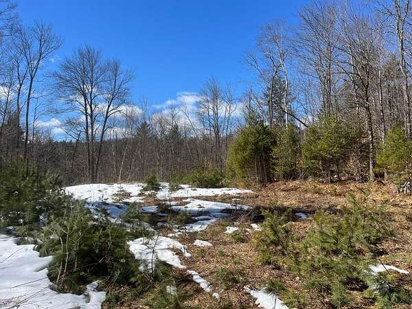 30 Acres of Land for Sale in Jamaica, Vermont