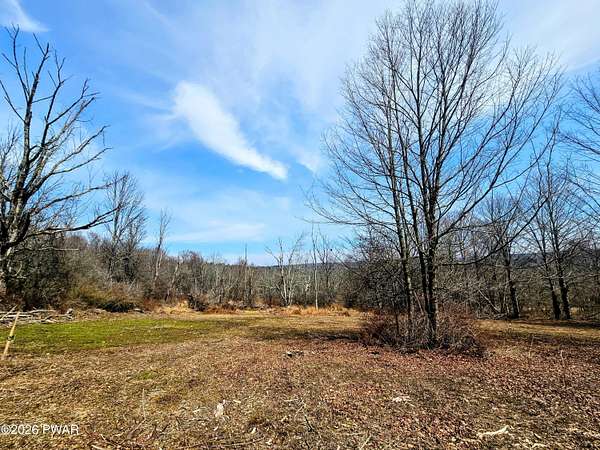 15.3 Acres of Recreational & Residential Land for Sale in Newfoundland, Pennsylvania