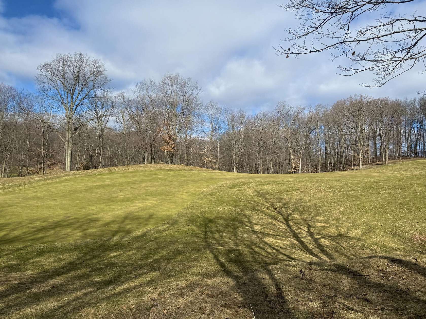 0.56 Acres of Residential Land for Sale in Stanwood, Michigan