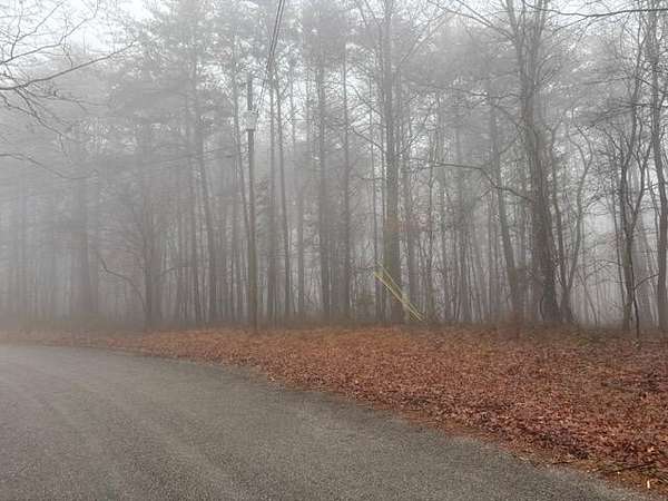 20 Acres of Land for Sale in McMinnville, Tennessee