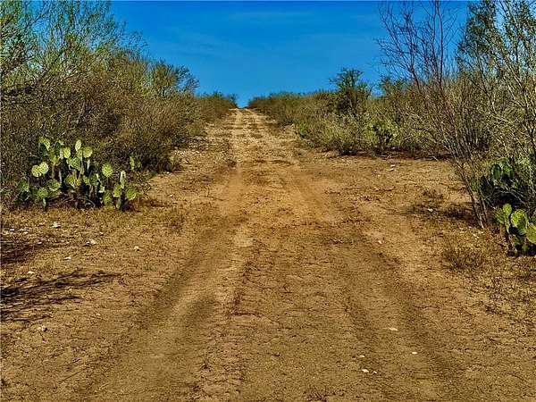 40.5 Acres of Land for Sale in San Diego, Texas