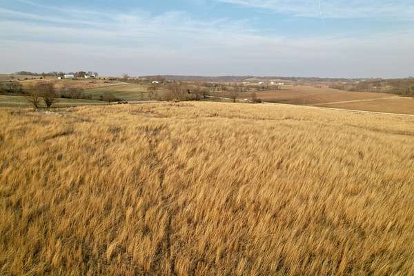 25 Acres of Land for Sale in St. Charles, Iowa