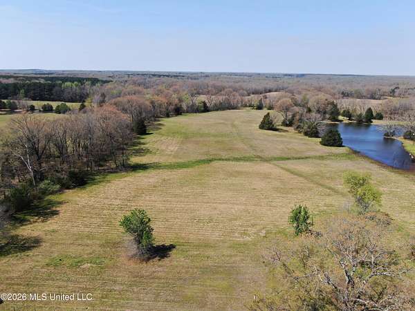 24 Acres of Land for Sale in Lamar, Mississippi