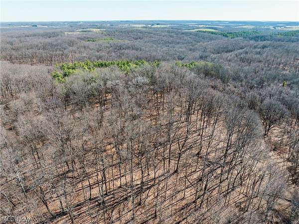 75.7 Acres of Recreational Land for Auction in Jewett, Ohio