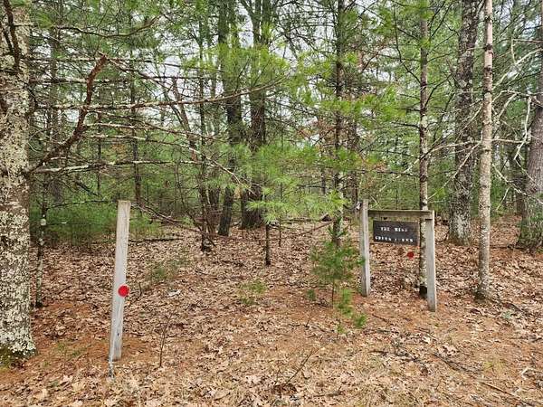 6 Acres of Residential Land for Sale in Adams, Wisconsin