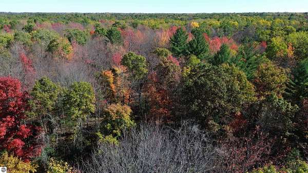5 Acres of Land for Sale in Prescott, Michigan