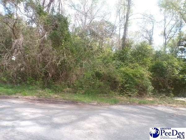 0.69 Acres of Residential Land for Sale in Hartsville, South Carolina
