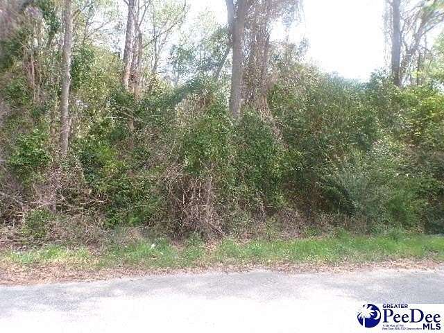 0.74 Acres of Residential Land for Sale in Hartsville, South Carolina