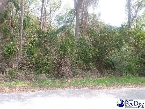 0.74 Acres of Residential Land for Sale in Hartsville, South Carolina