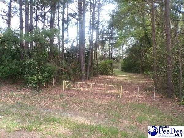 1.15 Acres of Residential Land for Sale in Hartsville, South Carolina