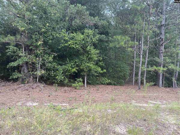 5 Acres of Residential Land for Sale in Salley, South Carolina