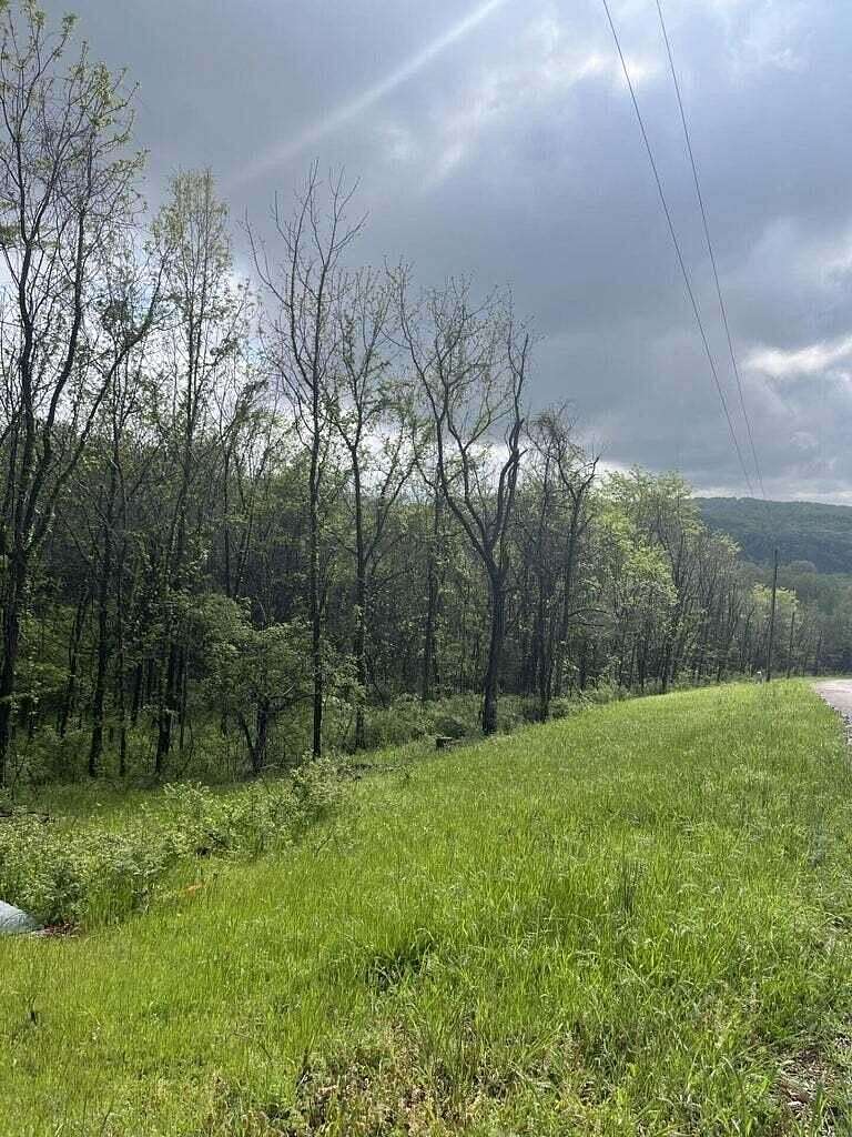 2 Acres of Residential Land for Sale in Cape Fair, Missouri