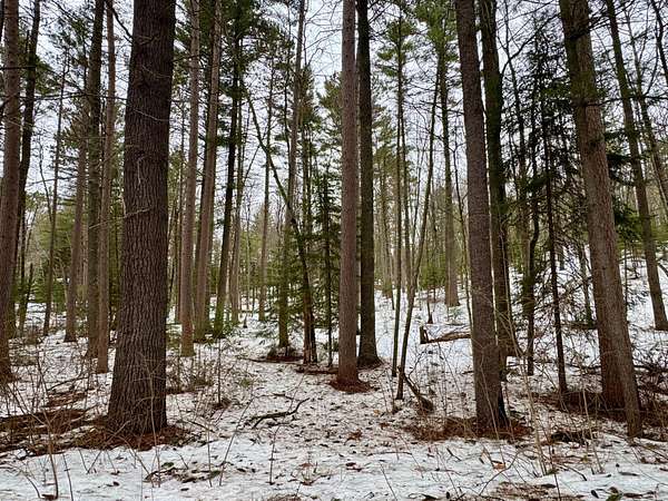 1.2 Acres of Residential Land for Sale in Lake Tomahawk, Wisconsin