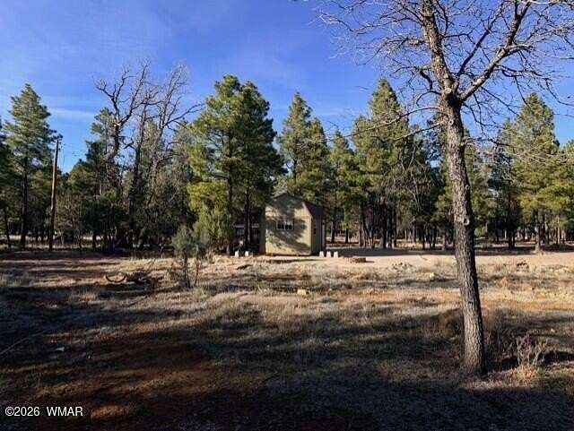 1 Acre of Residential Land for Sale in Happy Jack, Arizona