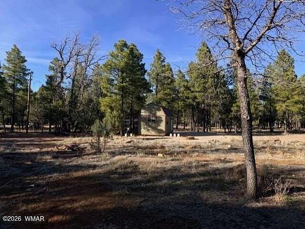 1 Acre of Residential Land for Sale in Happy Jack, Arizona