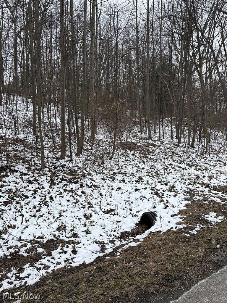 1.5 Acres of Land for Sale in Dundee, Ohio