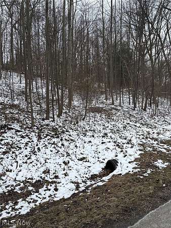 1.5 Acres of Land for Sale in Dundee, Ohio