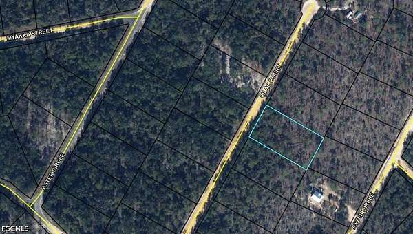 1 Acre of Residential Land for Sale in Marianna, Florida