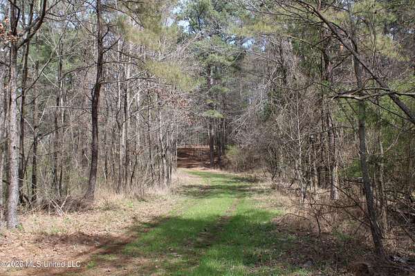 525 Acres of Land for Sale in Hernando, Mississippi