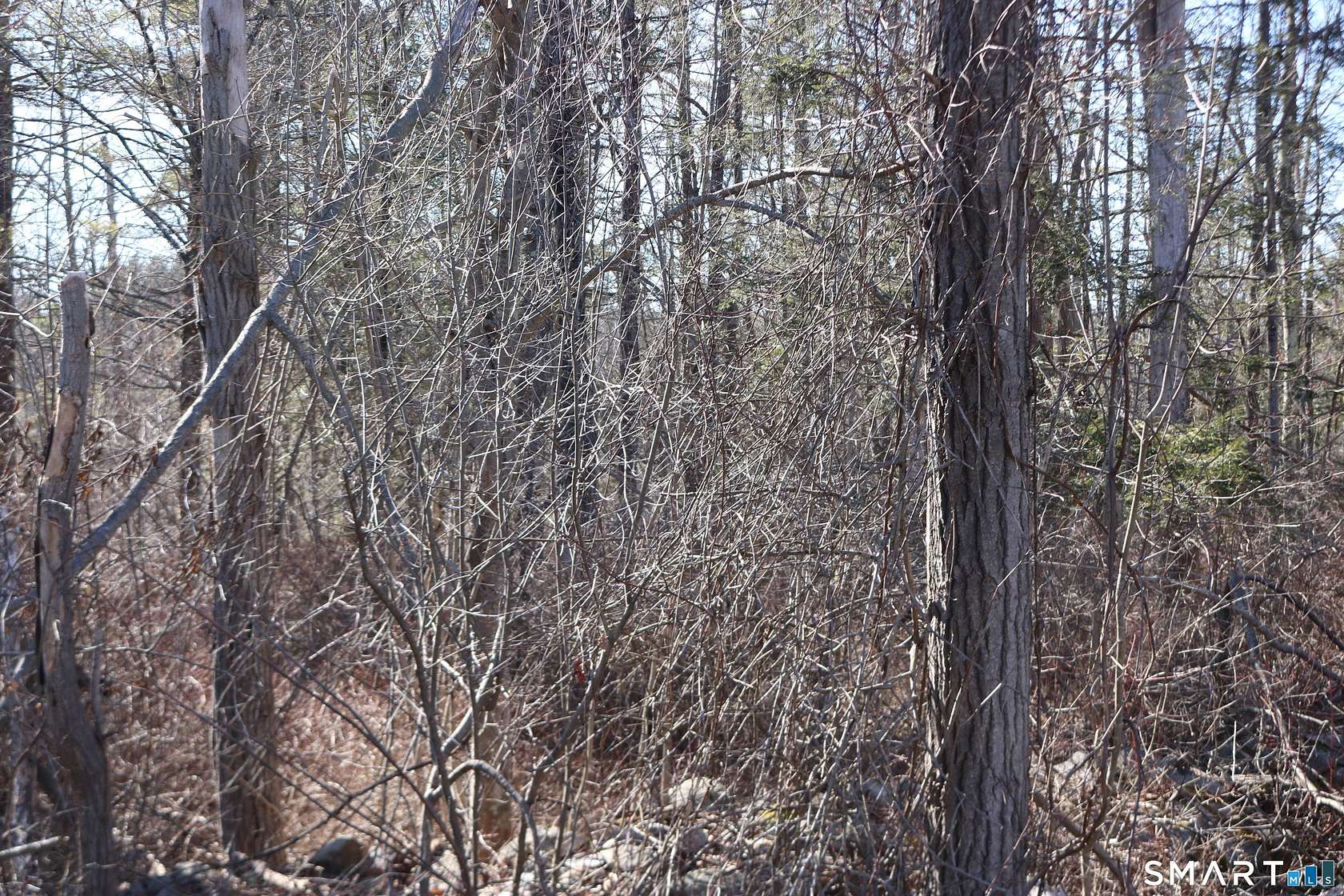 1 Acre of Residential Land for Sale in Goshen, Connecticut