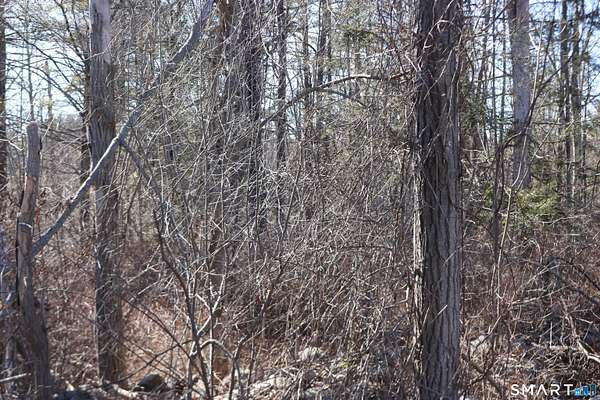 1 Acre of Residential Land for Sale in Goshen, Connecticut