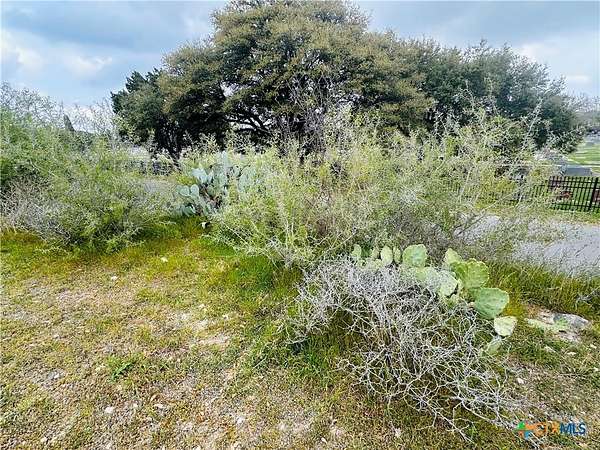 0.24 Acres of Residential Land for Sale in New Braunfels, Texas