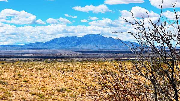 1 Acre of Residential Land for Sale in Las Nutrias, New Mexico