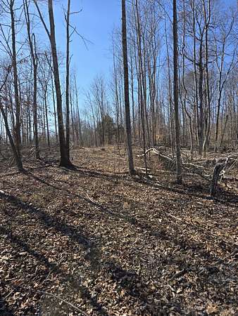20 Acres of Recreational Land for Sale in Indian Mound, Tennessee