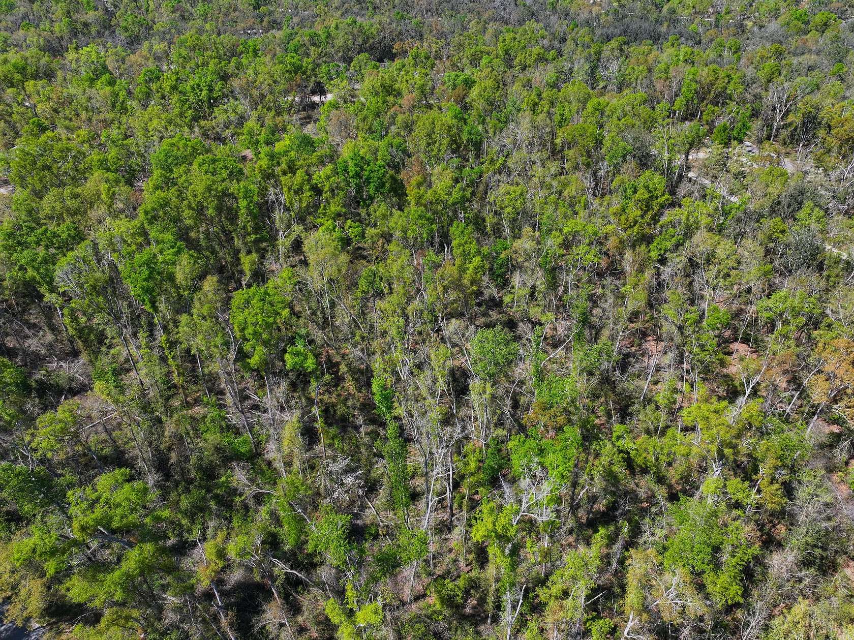 2.13 Acres of Land for Sale in Lee, Florida