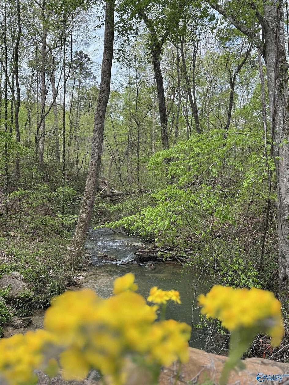 3.2 Acres of Residential Land for Sale in Guntersville, Alabama