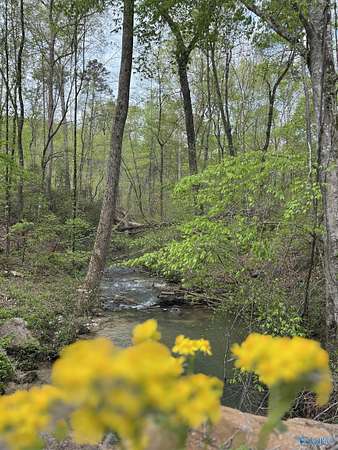 3.2 Acres of Residential Land for Sale in Guntersville, Alabama