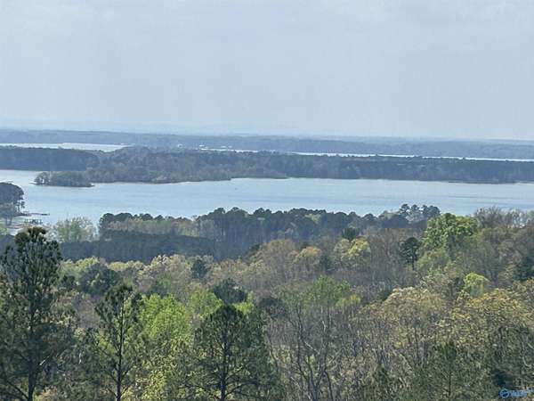 1.44 Acres of Residential Land for Sale in Cedar Bluff, Alabama