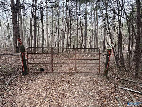 40 Acres of Recreational Land for Sale in Arley, Alabama
