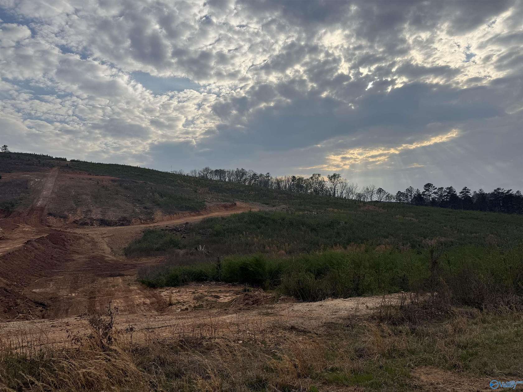 18 Acres of Land for Sale in Piedmont, Alabama