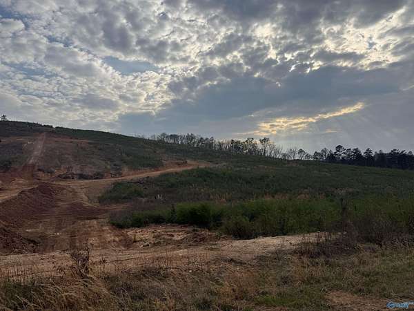 18 Acres of Land for Sale in Piedmont, Alabama