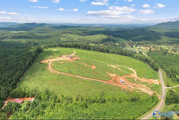 18 Acres of Land with Home for Sale in Piedmont, Alabama