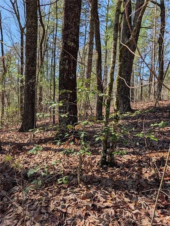 1.12 Acres of Residential Land for Sale in Ellijay, Georgia
