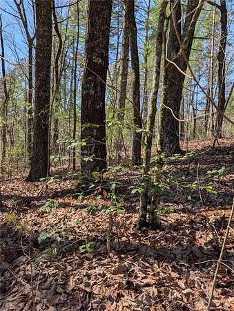 1.12 Acres of Residential Land for Sale in Ellijay, Georgia