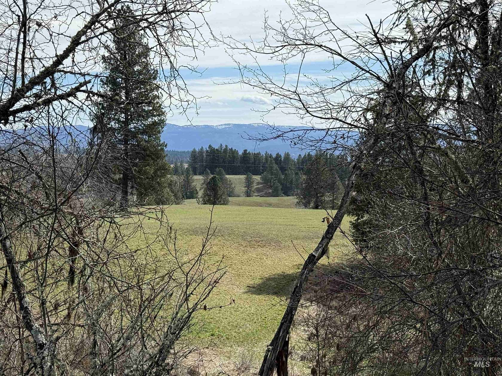 11 Acres of Land for Sale in Kamiah, Idaho