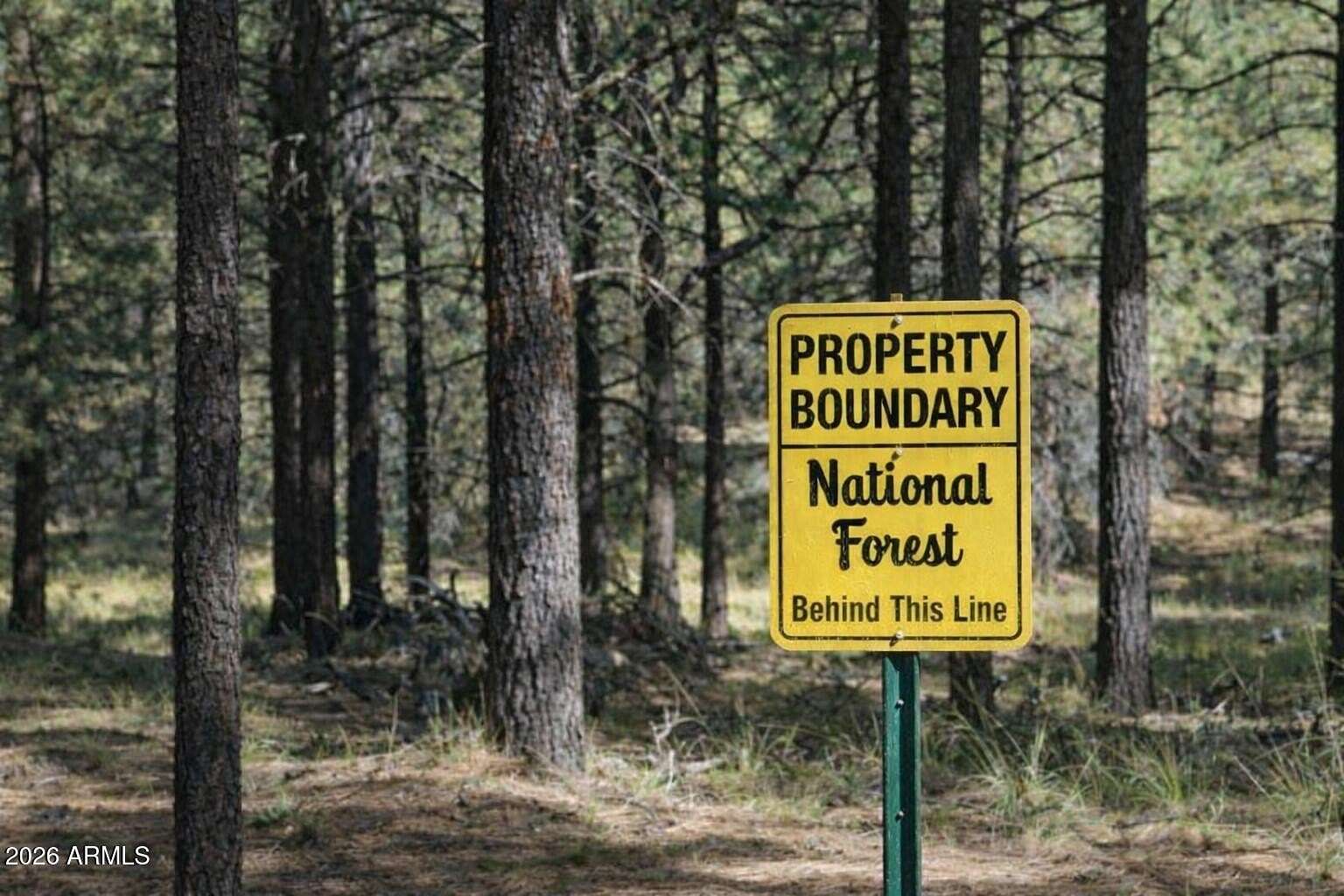 1 Acre of Land for Sale in Payson, Arizona