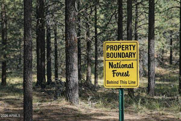 1 Acre of Land for Sale in Payson, Arizona