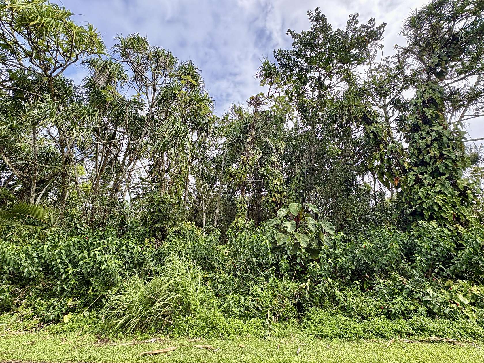 0.28 Acres of Residential Land for Sale in Pahoa, Hawaii